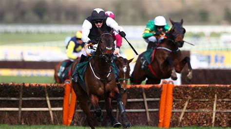 cheltenham racing news